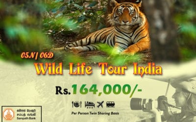 WILDLIFE TOUR INDIA